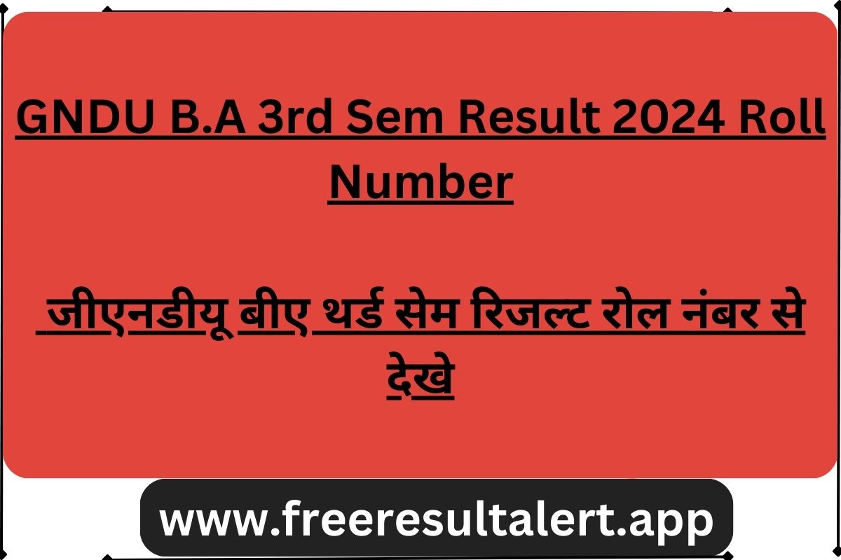 GNDU B.A 3rd Sem Result 2024